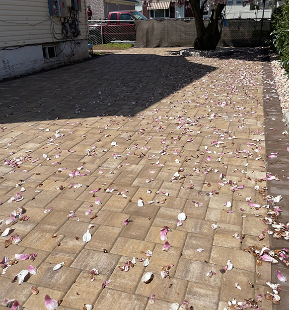 Brick entrance with rose petals